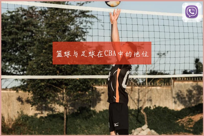 篮球与足球在CBA中的地位