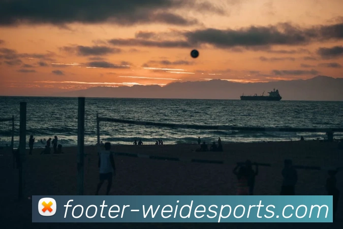 伟德体育平台生态图